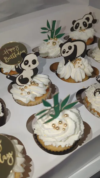 Anniversaire d'un petit garçon à MAINCY (77)