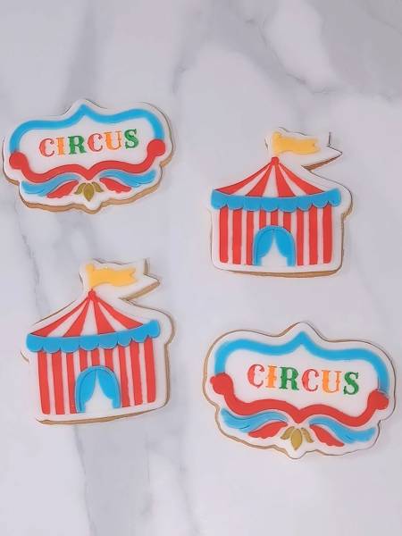 Anniversaire sur le thème du cirque à Lieusaint (77)