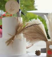 Nos prestations sur le secteur de Provins 77160 en Seine-et-Marne