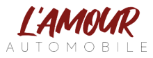 COMMERCE DE VOITURES PARIS L'Amour Automobile